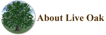About Live Oak