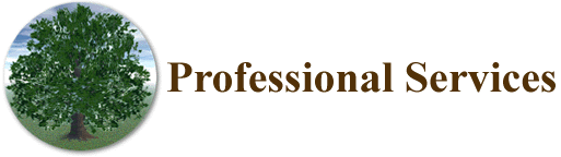 Professional Services
